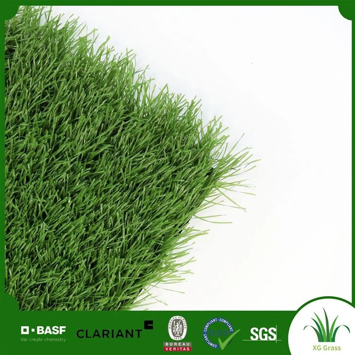 Futbol o'ti fon rasmi