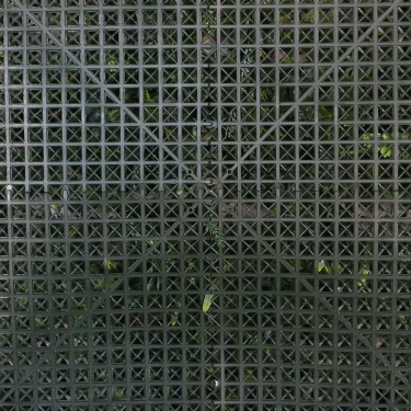 Indoor Foliage Wall