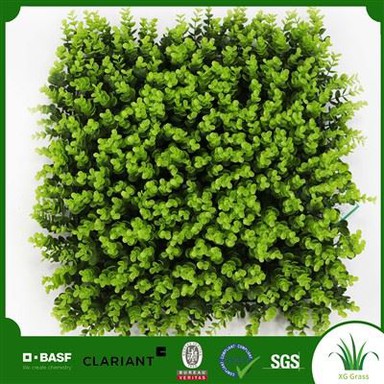 Xona uchun o't devori