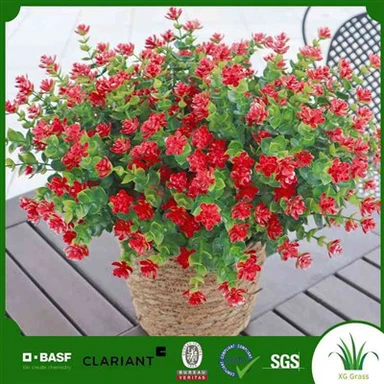 Sun'iy bog 'o'simliklari