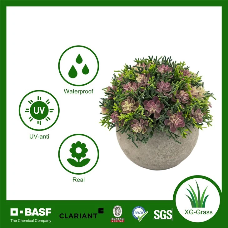 Xingu Realistic Faux Succulent Spherical Plant For Indoor Spaces high quality